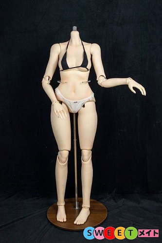 Guavadoll PVC 160cm Cカップ アニメラブドール ボディ専用の収納スタンド 使いやすい