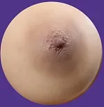 MMXDOLL フルシリコンダッチワイフ ヘッドとボディ組み合わせ専用ページ 美人ラブドール