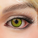 Irontech Doll 二つ目ヘッド無料 キャンペーン 2026年1月20日まで 高級リアルラブドール シリコン製 関節手指/ハードハンド/足指関節/自立加工/ランダムギフト無料 等身大セックスドール