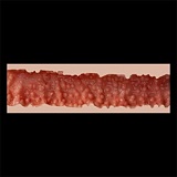 ZELEX GE86ヘッド 金髪そばかすの欧米ラブドール X165cm Fカップ シリコン製 エロ人形 笑顔美少女