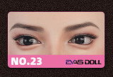 Evasdoll シリコンヘッド単体 高級ラブドール 頭部のみ ボディ無し ROS機能選択可 美人 M16