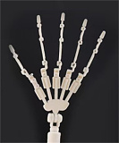 魔族人形 卷卷 85cm バスト小 メイド服のアニメ美少女 ラブドール ソフトビニール製頭部 TPEボディ MOZU DOLL A級 フィギュア