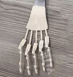 YUEDOLL Y10 薇儿 158cm Fカップ  シリコン製 シームレス熟女 ラブドール