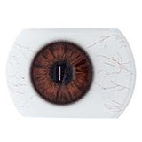 Real Girl A工場製 148cm Cカップ ROS機能付R21  エロ ダッチワイフ シリコンヘッド+TPE身体 S-TPE材選択可