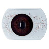 Real Girl A工場製 148cm Cカップ ROS機能付R21  エロ ダッチワイフ シリコンヘッド+TPE身体 S-TPE材選択可