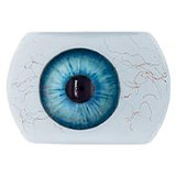 Real Girl A工場製 148cm Cカップ ROS機能付R21  エロ ダッチワイフ シリコンヘッド+TPE身体 S-TPE材選択可