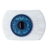 Real Girl A工場製 ラブドール 138cm 貧乳 軽量 S-TPE材質選択可 掲載画像はR45シリコンヘッド+tpeボディダッチワイフ