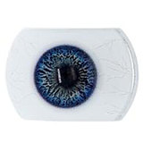 Real Girl A工場製 148cm Cカップ ROS機能付R21  エロ ダッチワイフ シリコンヘッド+TPE身体 S-TPE材選択可