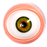 Starpery 二つ目ヘッドなど無料 キャンペーン 10月31日まで 高級 シリコン製 ラブドール 美人 sexdoll