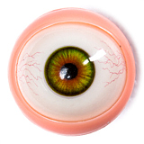 Starpery 二つ目ヘッドなど無料 キャンペーン 10月31日まで 高級 シリコン製 ラブドール 美人 sexdoll