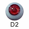 D2
