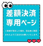 差額決済専用ページ　BC2026040887919277640　残金　