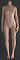 153cm Bカップ