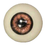 【15周年記念キャンペーン】Sino Doll 戦闘機 下取りで最大20万円OFF 全品10％割引 実践向け 2026年1月3日迄  フルシリコン製 高級ラブドール