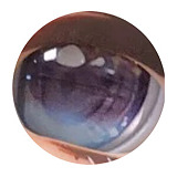 【15周年記念キャンペーン】Sino Doll 戦闘機 下取りで最大20万円OFF 全品10％割引 実践向け 2026年1月3日迄  フルシリコン製 高級ラブドール