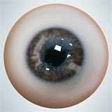 rzr doll 人造人 高級 ラブドール 全品10%OFF 二つ目ヘッド半额 キャンペーン 2月23日迄 清楚系 美少女 楚儿ヘッド ヘッドと任意ボディ自由に組み合わせ ダッチワイフ 人気  シリコン 膣前庭構造&乳腺構造あり