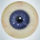 rzr doll 人造人 若璃 癒し系チャイナドレス美少女 リアルドール 165cm Eカップ No.22ボディ フルシリコン製 膣前庭構造&乳腺構造あり 高級ダッチワイフ 清楚系