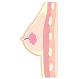 rzr doll 人造人 楚儿 ダッチワイフ最高級 160cm Dカップ No.23ボディ膣前庭構造&乳腺構造あり フルシリコン製