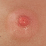 TOP-CYDOLL Shuyu 愛嬌たっぷり リアルラブドール 清純系美少女 157cm Dカップ シリコン エロ人形 高級