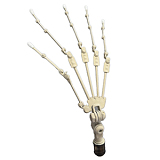 Irontech Doll 東方シリーズ 10％オフ 11月4日迄 S14ヘッド 清楚系美少女 エロ人形 153cm Eカップ 高級 lovedoll シリコン ROS-MAX機能付き