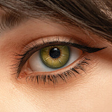 Irontech Doll 東方シリーズ 10％オフ 11月4日迄 T1ヘッド 153cm Eカップ エロドール 高級シリコン ROS-MAX機能付き