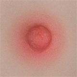 Yearndoll LZ01 舌出し小悪魔系美少女 エロドール 155cm 進化版 Jカップ リアル皮膚メイク付き 高級 sexdoll シリコン製