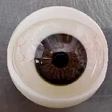 Yearndoll LZ01 舌出し小悪魔系美少女 エロドール 155cm 進化版 Jカップ リアル皮膚メイク付き 高級 sexdoll シリコン製