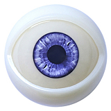 MD DOLL M41 Gigi 甘えん坊メイド ラブドール コスプレ 150cm Eカップ 高級 ダッチワイフ シリコン かわいい制服娘