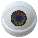 MD DOLL M41 Gigi 甘えん坊メイド ラブドール コスプレ 150cm Eカップ 高級 ダッチワイフ シリコン かわいい制服娘