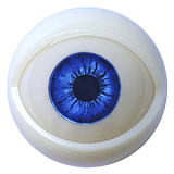 MD DOLL M1 Susan 無邪気な金髪美少女 リアルドール 150cm AAカップ 高級 sexdoll シリコン かわいい娘