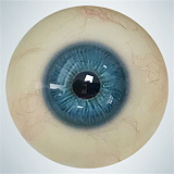 rzr doll 人造人 楚儿 純情可憐な美少女 リアルドール 160cm Dカップ No.23ボディ ラブドール 高級シリコン 膣前庭構造&乳腺構造あり