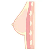 rzr doll 人造人 楚儿 アジア清純美少女 sexdoll 160cm Dカップ No.23ボディ ラブドール 高級シリコン 膣前庭構造&乳腺構造あり