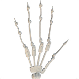 MD DOLL M1 Susan 無邪気な金髪美少女 リアルドール 150cm AAカップ 高級 sexdoll シリコン かわいい娘