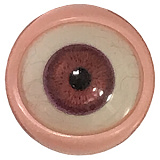 アート技研(Art-doll) NOVAシリーズ 乔西 萌え系美少女 エロドール 148cm Dカップ ROS機能付き シリコンヘッド TPEボディ