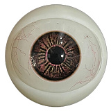 アート技研(Art-doll) NOVAシリーズ 乔西 萌え系美少女 エロドール 148cm Dカップ ROS機能付き シリコンヘッド TPEボディ