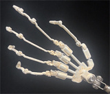 アート技研(Art-doll) NOVAシリーズ 乔西 萌え系美少女 エロドール 148cm Dカップ ROS機能付き シリコンヘッド TPEボディ