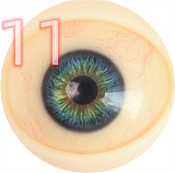 My Loli Waifu 二つ目ヘッド半額 キャンペーン 11月25日まで フルシリコン 等身大ラブドール かわいい美少女 DFF手指/ハードハンド/ハードフート無料