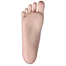 JSL DOLL 波奇 アニメ エロドール アホ毛美少女 130cm 美乳 sexdoll ソフトビニール製頭部 TPE製ボディ