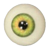 Sino Doll 戦闘機 ST17 凛楠 スポーツ少女 ダッチワイフ コスプレ 156cm Eカップ Soft-max 高級 sexdoll シリコン製