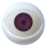 MD DOLL 二つ目ヘッドなど無料 キャンペーン 11月30日まで 高級シリコン ラブドール アジア美少女 ダッチワイフ