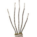 MD DOLL 二つ目ヘッドなど無料 キャンペーン 11月30日まで 高級シリコン ラブドール アジア美少女 ダッチワイフ