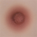 AXBDoll 65cm #A02 バスト平  かわいい TPE製 ミニ セックス人形