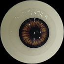 AXBDoll 65cm #A02 バスト平  かわいい TPE製 ミニ セックス人形