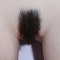 陰毛1