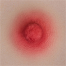 AXB Doll AGB07ヘッド ツインテール リアルドール 純真少女 101cm AAカップ フルシリコン製 等身大ラブドール