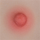 AXBDoll 65cm #A02 バスト平  かわいい TPE製 ミニ セックス人形