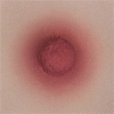 Yearndoll LZ02 かわいいメイド ダッチワイフ トルソー 101cm 進化版 Jカップ リアル皮膚メイク付き 高級 エロドール シリコン