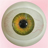 アート技研(Art-doll) ラブドール 148cm AAカップ M2ヘッド 18kg軽量化 M16ジョイント汎用版 ダッチワイフ フルシリコン製