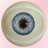 アート技研 Art-doll 162cm Cカップ 普乳 A7 ivy艾薇 アダルトラブドール シリコン製 外人