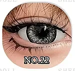 LACEDOLL 青棘 黒髪 赤瞳 クールな美少女 ラブドール 160cm Cカップ 普乳 シリコン 高級 エロ人形